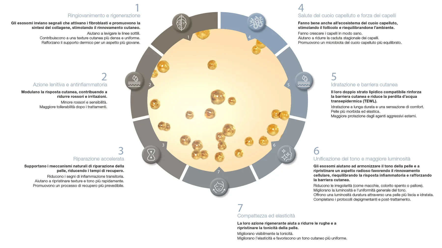 Infografica circolare con i 7 benefici degli esosomi